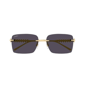 cartier, cartier sunglasses, cartier eyewear, xeyes sunglass shop, luxury sunglasses, fashion sunglasses, women sunglasses, men sunglasses, cartier CT054SS