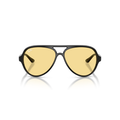 ray-ban, ray-ban sunglasses, xeyes, xeyes sunglass shop, women sunglasses, men sunglasses, wayfarer sunglasses, oval sunglasses, rb4125 cats