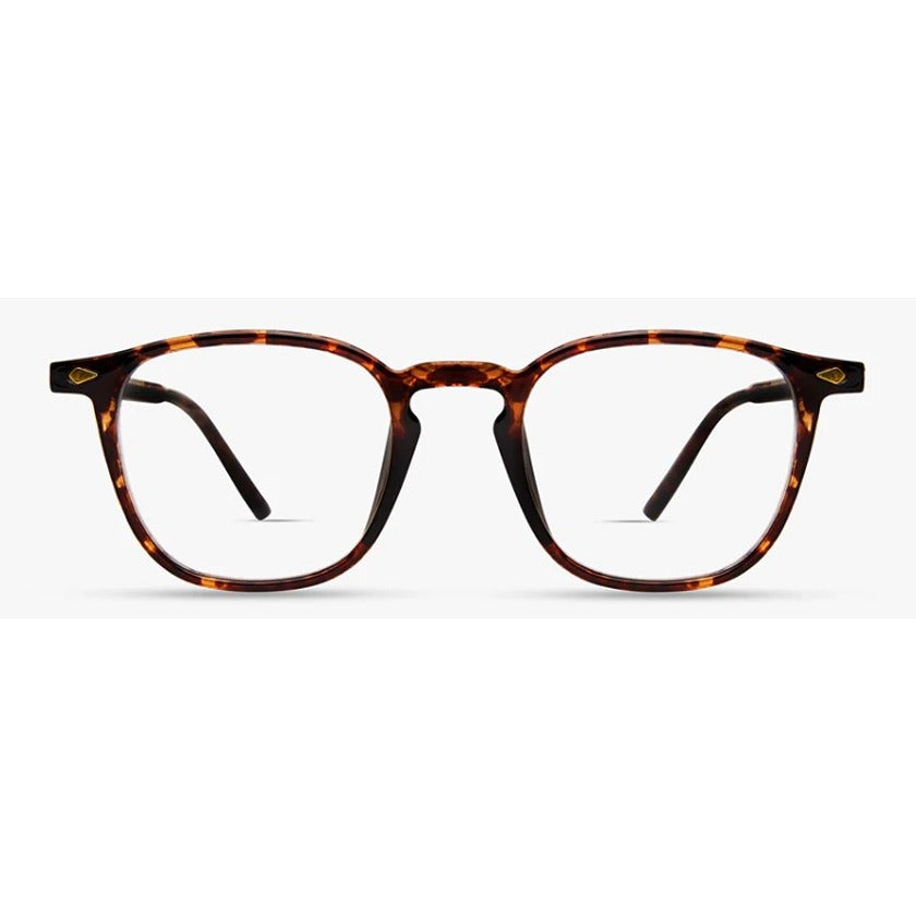 eco, eco eyewear, eco sunglasses, eco optical glasses, xeyes sunglass shop, glasses with clip-on, clip-on sunglasses, eco reed